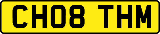 CH08THM