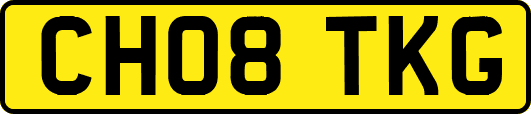 CH08TKG