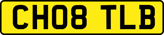 CH08TLB
