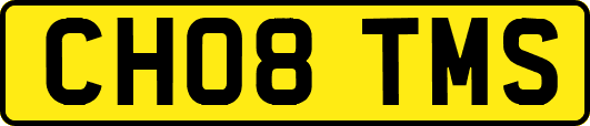 CH08TMS