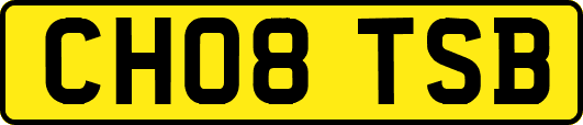 CH08TSB