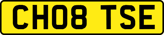 CH08TSE