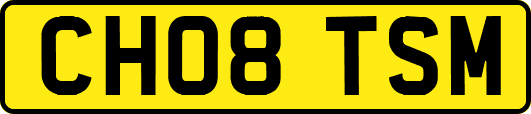 CH08TSM