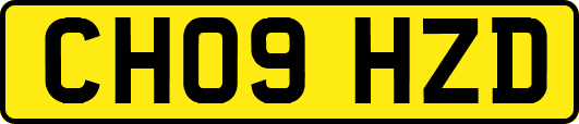 CH09HZD