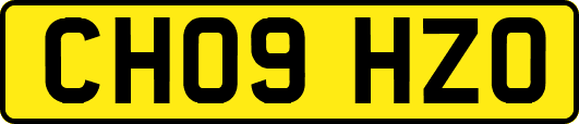 CH09HZO