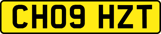 CH09HZT