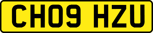 CH09HZU