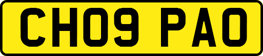 CH09PAO
