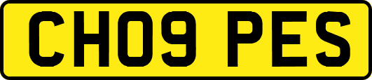 CH09PES