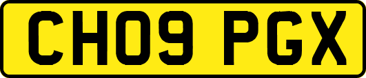 CH09PGX