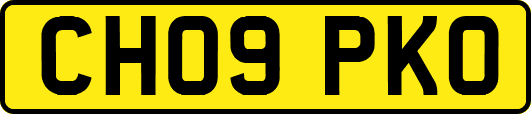 CH09PKO