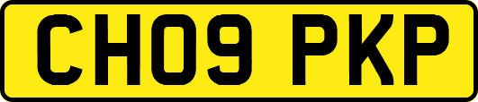 CH09PKP