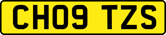 CH09TZS
