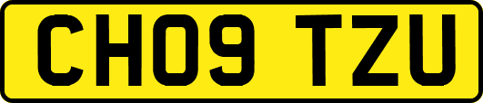 CH09TZU