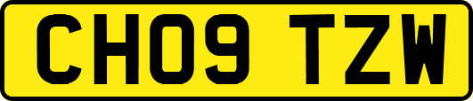 CH09TZW