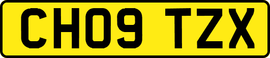 CH09TZX