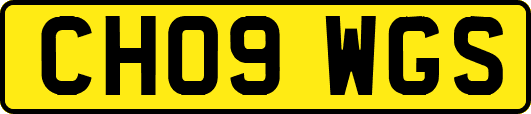 CH09WGS