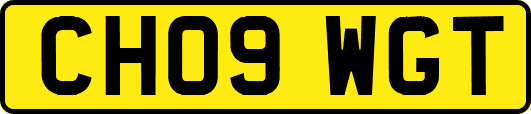 CH09WGT