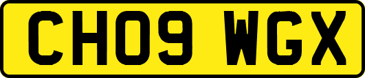 CH09WGX