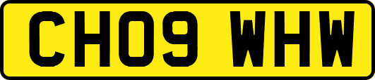 CH09WHW