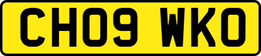 CH09WKO