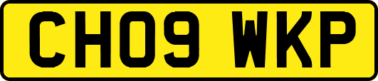 CH09WKP
