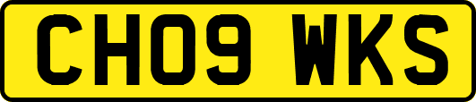 CH09WKS
