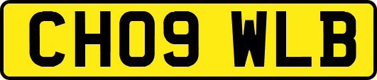 CH09WLB