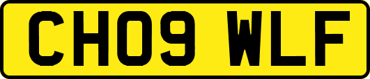 CH09WLF