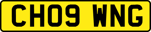 CH09WNG