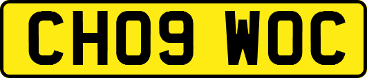 CH09WOC