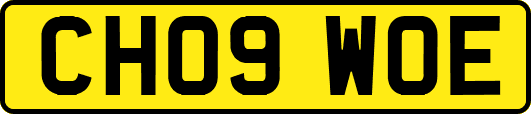 CH09WOE