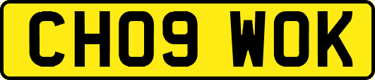 CH09WOK