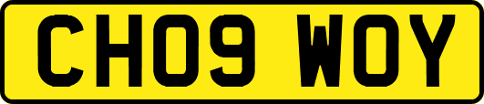 CH09WOY