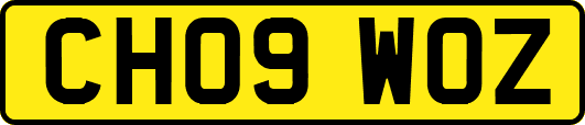 CH09WOZ