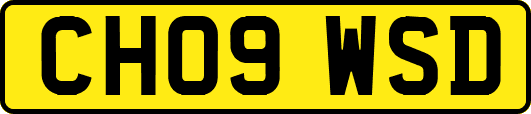 CH09WSD
