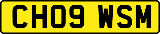 CH09WSM