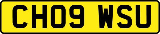 CH09WSU