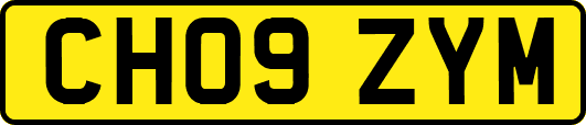 CH09ZYM