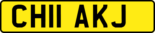 CH11AKJ
