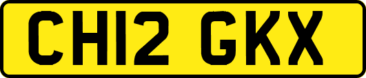 CH12GKX