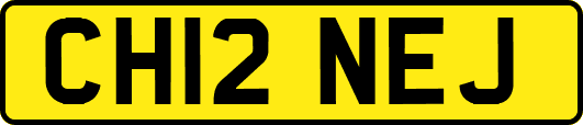 CH12NEJ