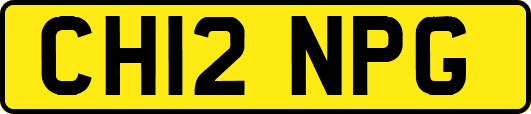 CH12NPG
