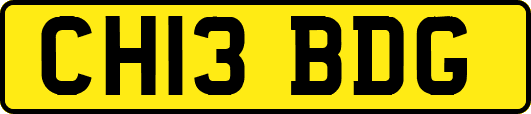 CH13BDG