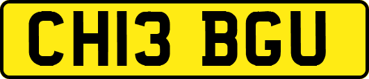 CH13BGU