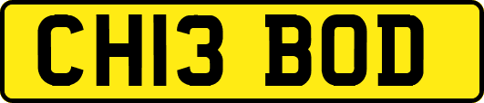 CH13BOD