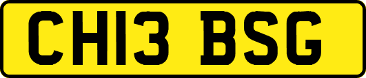 CH13BSG