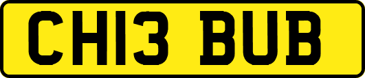 CH13BUB