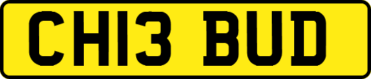 CH13BUD