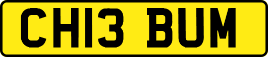 CH13BUM